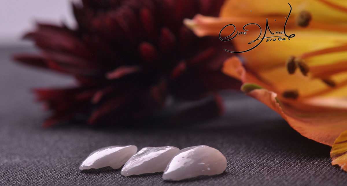 بهترین دندانپزشک قم بهترین دندانپزشک قم