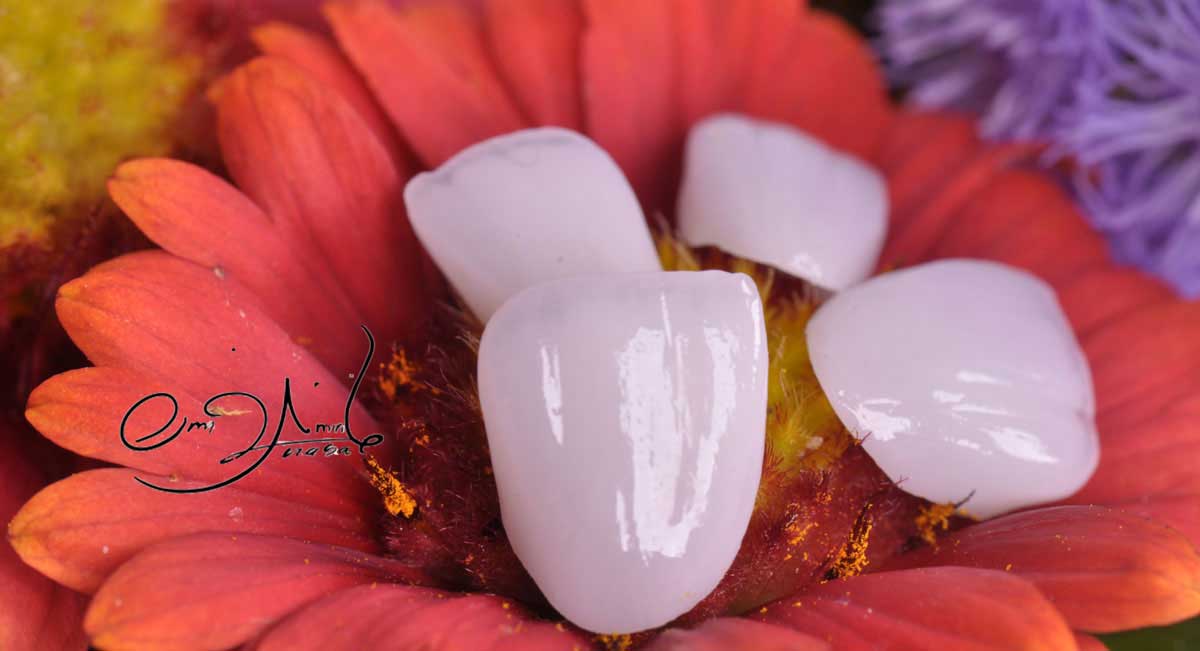 بهترین دندانپزشک قم بهترین دندانپزشک قم